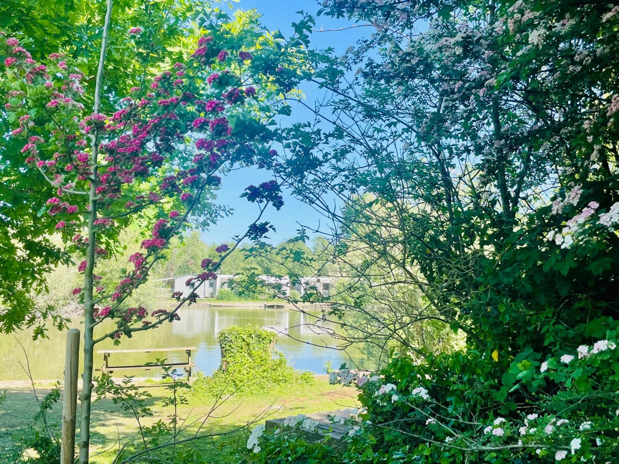 Caravaning Les Tourterelles Camping 4*